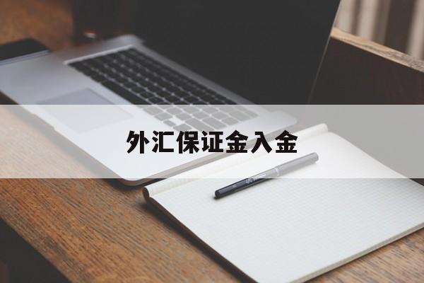 外汇保证金入金(外汇保证金入金会计分录)